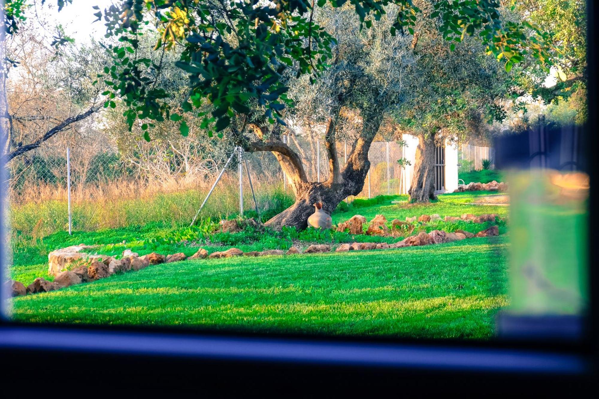 Quinta Dos Cochichos - Country Houses オリョン 部屋 写真